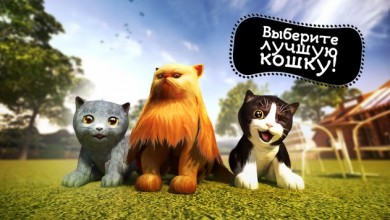 Скачать Симулятор Кошки [ВЗЛОМ: много денег] v 2.1.1 для Андроид