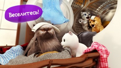 Симулятор Кошки [ВЗЛОМ: много денег] v 2.1.1 скриншот №6