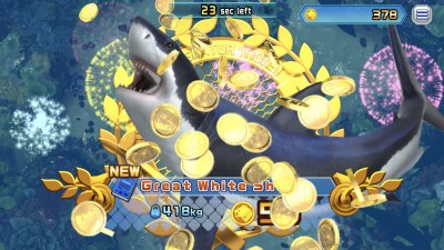 Ace Angler Fishing Spirits M screen 6