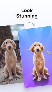PhotoRoom AI Photo Editor screen 4